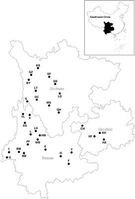 Culture-Based and Culture-Independent Assessments of Endophytic Fungal Diversity in Aquatic Plants in Southwest China